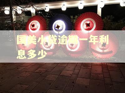 国美小贷逾期一年利息多少