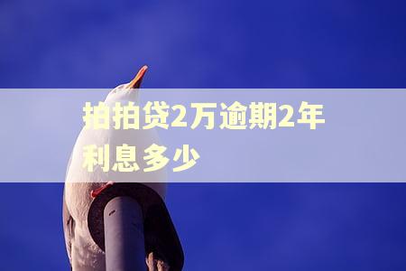 拍拍贷2万逾期2年利息多少