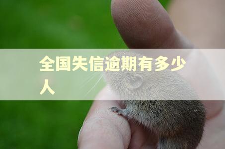 全国失信逾期有多少人