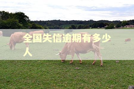 全国失信逾期有多少人