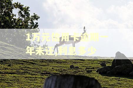 1万元信用卡逾期一年未还,利息多少 1万元信用卡逾期一年未还,利息多少