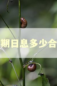 逾期日息多少合法