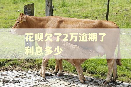 花呗欠了2万逾期了利息多少 花呗欠了2万逾期了利息多少