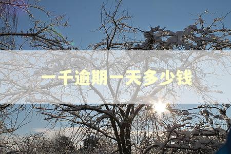 一千逾期一天多少钱