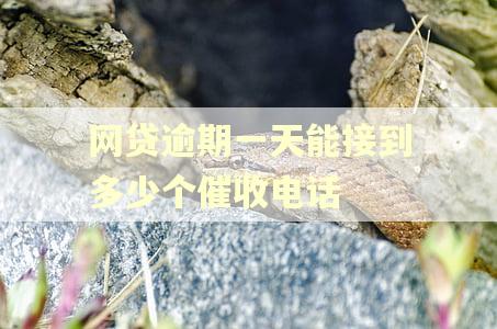网贷逾期一天能接到多少个催收电话 网贷逾期一天能接到多少个催收电话