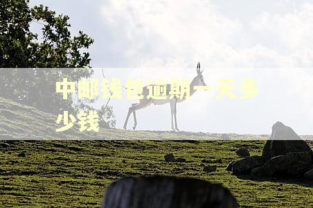 中邮钱包逾期一天多少钱