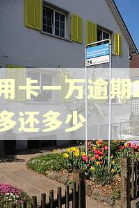 信用卡一万逾期2个月多还多少