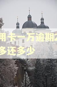 信用卡一万逾期2个月多还多少