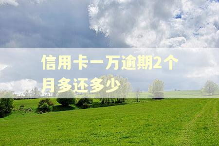 信用卡一万逾期2个月多还多少 信用卡一万逾期2个月多还多少