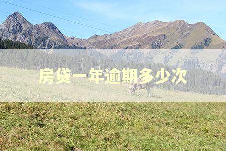 房贷一年逾期多少次