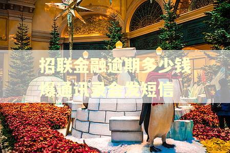 招联金融逾期多少钱爆通讯录会发短信
