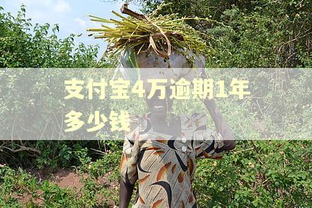 支付宝4万逾期1年多少钱