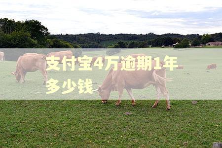 支付宝4万逾期1年多少钱
