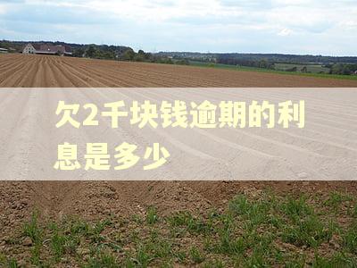 欠2千块钱逾期的利息是多少