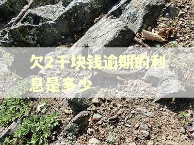 欠2千块钱逾期的利息是多少