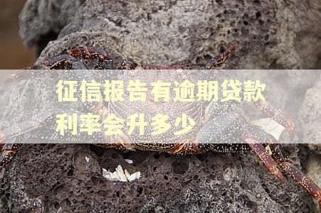征信报告有逾期贷款利率会升多少