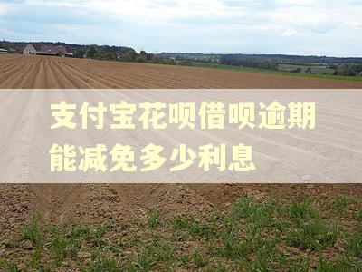 支付宝花呗借呗逾期能减免多少利息