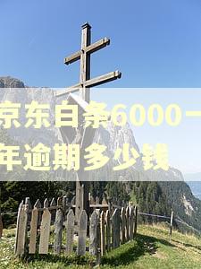 京东白条6000一年逾期多少钱