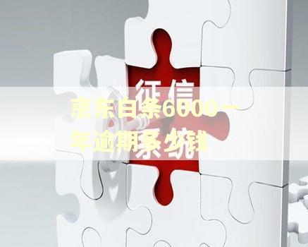 京东白条6000一年逾期多少钱