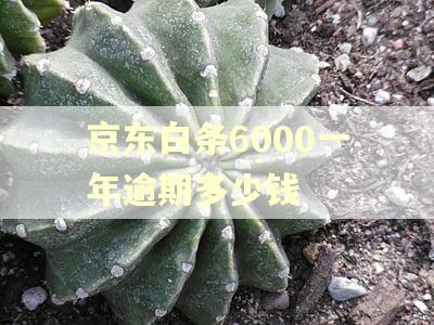 京东白条6000一年逾期多少钱 京东白条6000一年逾期多少钱