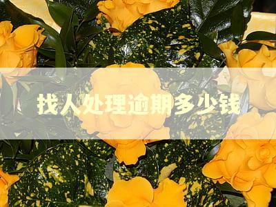 找人处理逾期多少钱