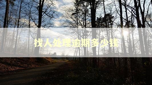找人处理逾期多少钱 找人处理逾期多少钱