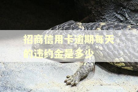 招商信用卡逾期每天的违约金是多少