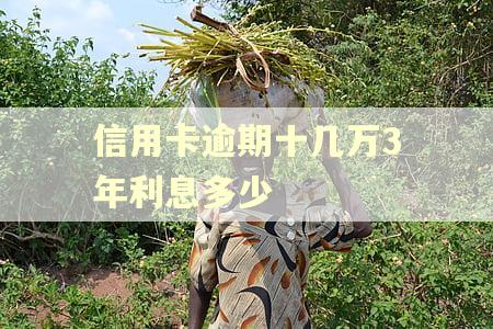 信用卡逾期十几万3年利息多少