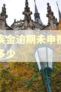 残疾金逾期未申报罚款多少