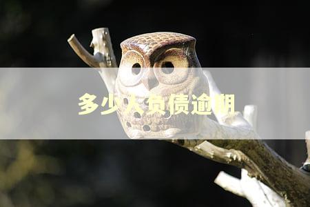 多少人负债逾期