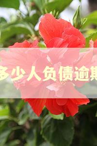 多少人负债逾期 多少人负债逾期