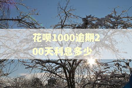 花呗1000逾期200天利息多少