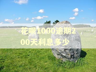 花呗1000逾期200天利息多少