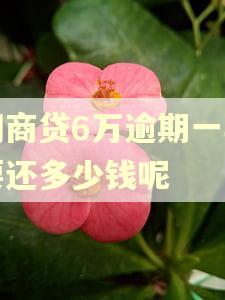 网商贷6万逾期一年要还多少钱呢