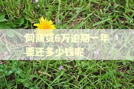 网商贷6万逾期一年要还多少钱呢