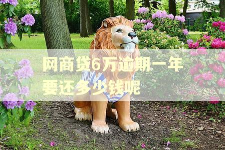 网商贷6万逾期一年要还多少钱呢 网商贷6万逾期一年要还多少钱呢