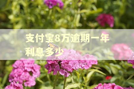 支付宝8万逾期一年利息多少