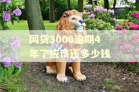 网贷3000逾期4年了应该还多少钱