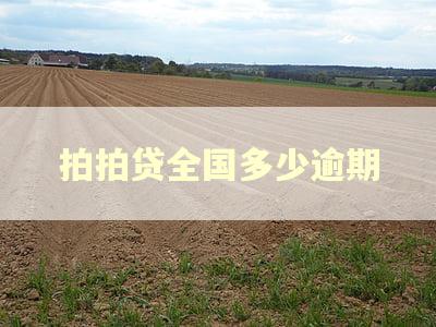 拍拍贷全国多少逾期