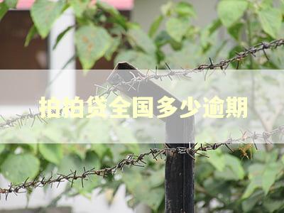 拍拍贷全国多少逾期