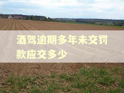 酒驾逾期多年未交罚款应交多少