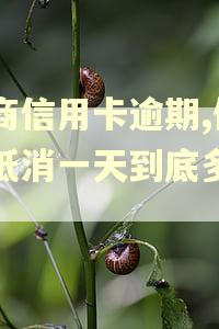 工商信用卡逾期,债务抵消一天到底多少次