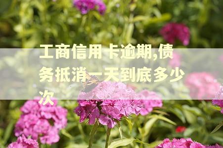 工商信用卡逾期,债务抵消一天到底多少次 工商信用卡逾期,债务抵消一天到底多少次