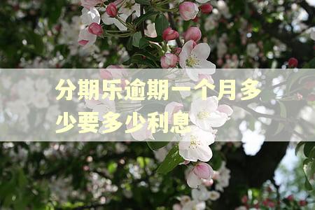 分期乐逾期一个月多少要多少利息