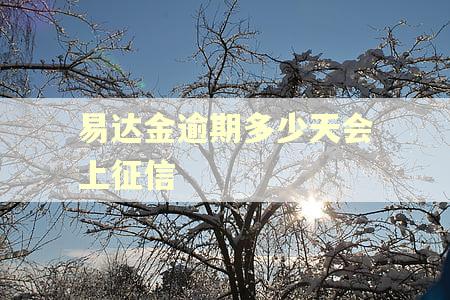 易达金逾期多少天会上征信