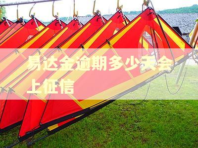 易达金逾期多少天会上征信