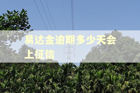 易达金逾期多少天会上征信