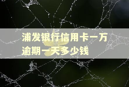 浦发银行信用卡一万逾期一天多少钱