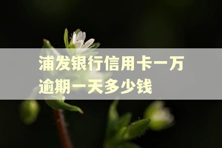 浦发银行信用卡一万逾期一天多少钱