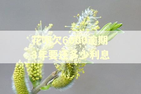 花呗欠6000逾期3年要还多少利息